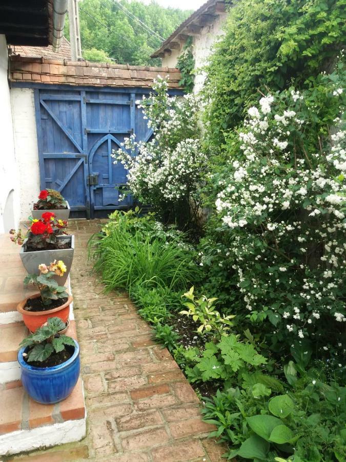 Casa Anca Cheile Nerei Villa Sokolar Eksteriør bilde