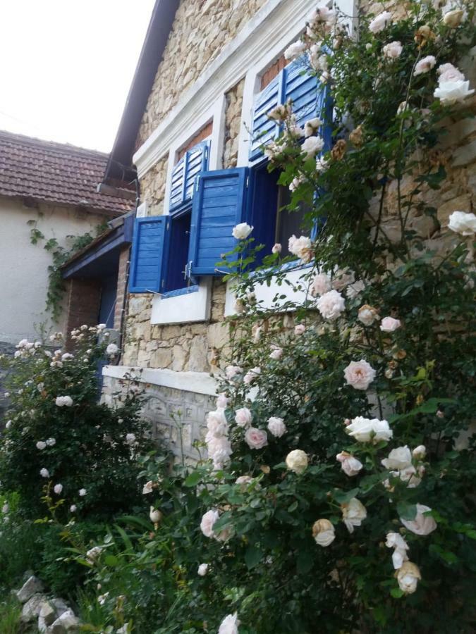 Casa Anca Cheile Nerei Villa Sokolar Eksteriør bilde