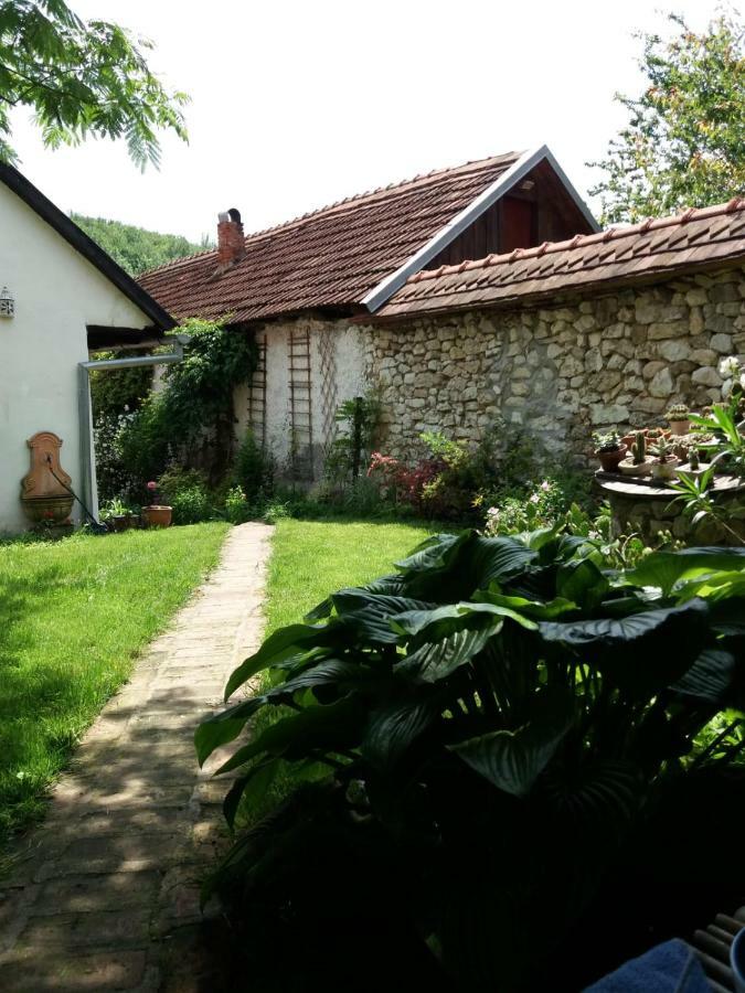 Casa Anca Cheile Nerei Villa Sokolar Eksteriør bilde
