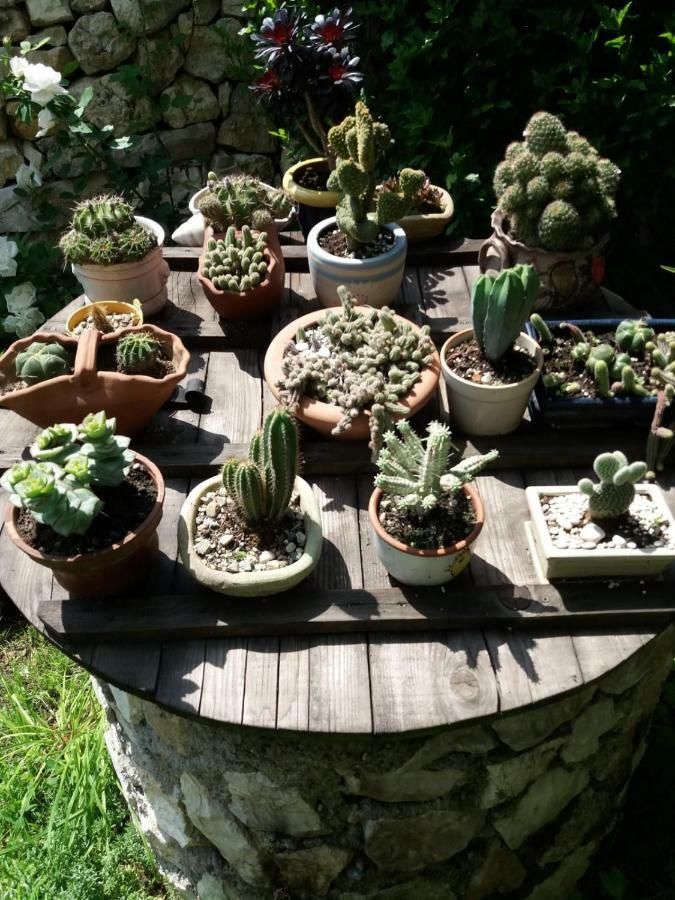 Casa Anca Cheile Nerei Villa Sokolar Eksteriør bilde