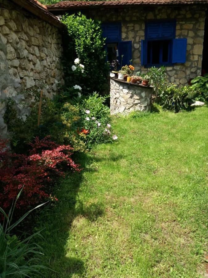 Casa Anca Cheile Nerei Villa Sokolar Eksteriør bilde